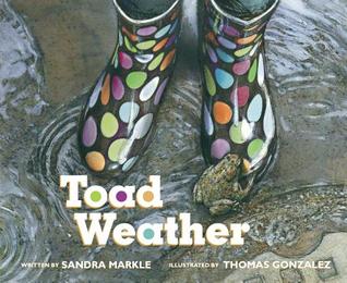 Toad Weather (Hardcover)