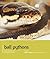 Ball Pythons: Understanding...