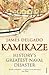 Kamikaze: History's Greatest Naval Disaster