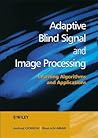 Adaptive Blind Signal and Image Processing