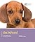 Dachshund: Understanding and Caring for Your Breed (Dog Expert)