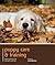 Puppy Care & Training: Unde...