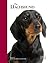 Dachshund: Pet Book (Best of Breed)