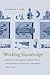 Working Knowledge: Employee Innovation and the Rise of Corporate Intellectual Property, 1800-1930 (Studies in Legal History)