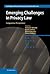 Emerging Challenges in Privacy Law: Comparative Perspectives (Cambridge Intellectual Property and Information Law)