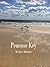 Pemrose KeyCaptain Lucas Callaway had longed for Pemrose Key, where silvery sands beribboned the Gulf of Mexico and mystical bayous harbored mysterious ... When Luke finally leaves the nightmares