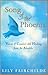 Song of the Phoenix: Voices of Comfort and Healing from the Afterlife