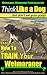 Weimaraner, Weimaraner Training AAA AKC | Think Like a Dog, But Don’t Eat Your Poop! | Weimaraner Breed Expert Training: Here's EXACTLY How To Train Your Weimaraner