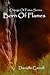Born Of Flames (Change Of Fates #2)
