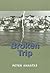 Broken Trip