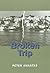 Broken Trip by Peter Anastas