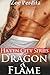 Dragon & Flame (Haven City #6)