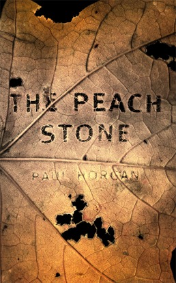 The Peach Stone: Stories from Four Decades
