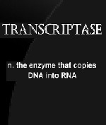 Transcriptase