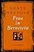 Frau in Bernstein by Agate Nesaule