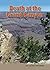 Death at the Grand Canyon by Don Colegrove