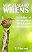 New Zealand Wrens - Meet One of the Smallest Bird Families In New Zealand (Learning is Awesome Kids Series! #27)