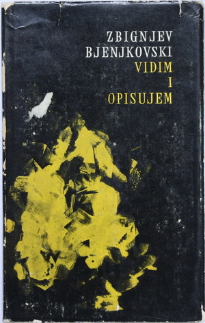 Vidim i opisujem (Hardcover)