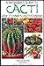 A Beginner’s Guide to Cacti - How to Make a Cactus Garden (The Gardening Series Book 2)
