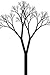 Branches on the Tree of Time