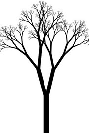 Branches on the Tree of Time (ebook)
