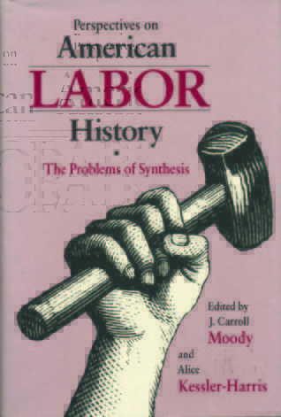 Perspectives on American Labor History: The Problems of Synthesis (Paperback)