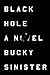Black Hole