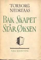 Bak skapet står øksen (Hardcover)