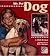 My Pet Dog by Ruth Berman