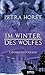 Geschichten vom Limes: Im Winter des Wolfes (German Edition)