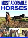 Most Adorable Horses