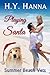 Playing Santa - Summer Beach Vets Christmas Special