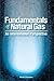 Fundamentals of Natural Gas: An International Perspective