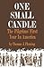 One Small Candle: The Pilgrims' First Year in America