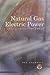 Natural Gas & Electric Power in Nontechnical Language (Pennwell Nontechnical Series)