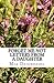 Forget Me Not: Letters From A Daughter