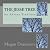 The Jesse Tree: An Advent T...