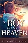 A Boy Back from Heaven by Matthew Goodwin