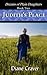Judith's Place (Dreams of Plain Daughters #2)