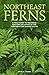 Northeast Ferns: A Field Gu...