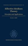 Effective Medium Theory: Principles and Applications (International Series of Monographs on Physics)