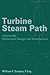 Turbine Steam Path Maintenance & Repair: Volume IIIa
