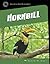 Great Hornbill (21st Century Skills Library: Exploring Our Rainforests)