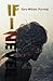 If I Never by Gary William Murning