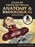 Atlas of Cross-Sectional Anatomy and Radiological Imaging