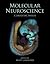 Molecular Neuroscience: A Laboratory Manual