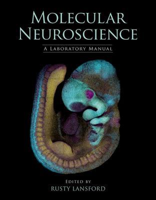 Molecular Neuroscience: A Laboratory Manual (Paperback)