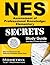 NES Assessment of Professional Knowledge: Elementary Secrets Study Guide: NES Test Review for the National Evaluation Series Tests