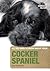 Cocker Spaniel: An Owners G...