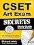 CSET Art Exam Secrets Study...